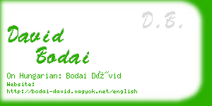 david bodai business card